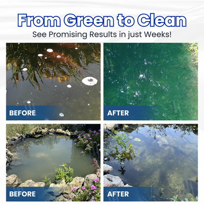 ✨ From Green to Clean Overnight! |⏱️ Crystal Clear in 24 Hours! | Geamwav® AQUA-SENTRA Pro Formula